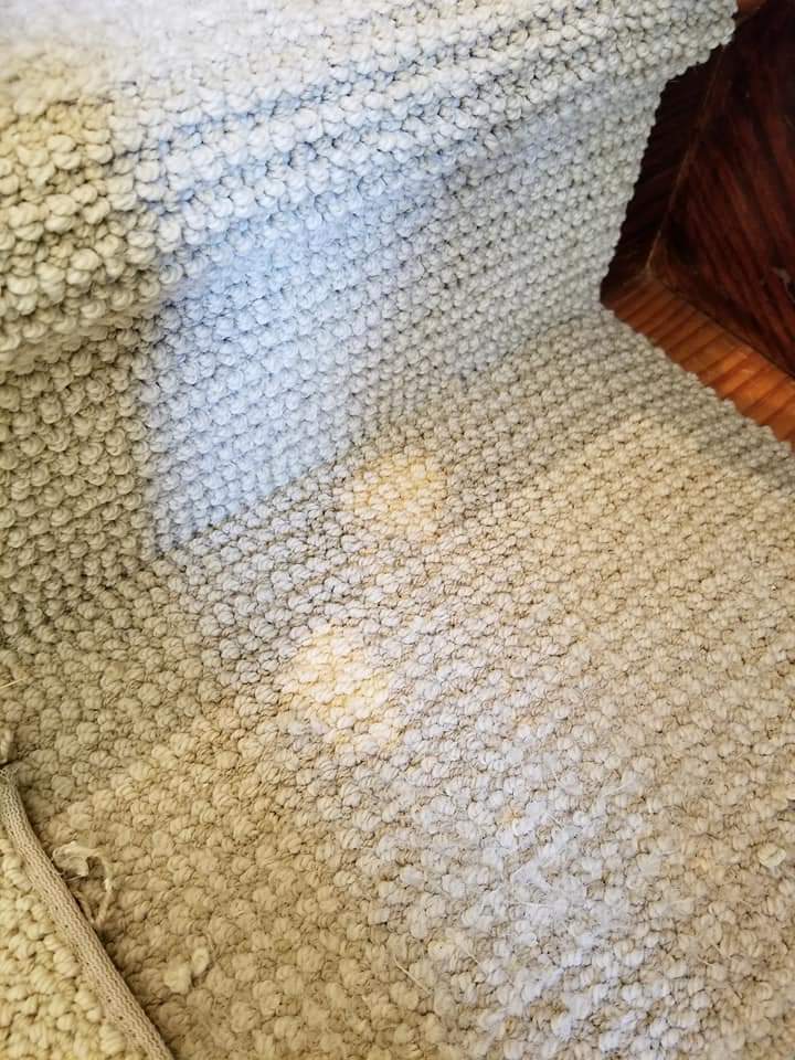 Carpet Patch After