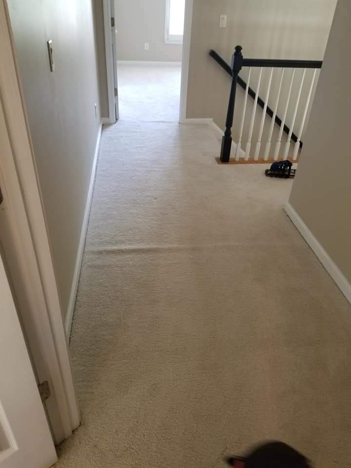 Carpet Repair Before